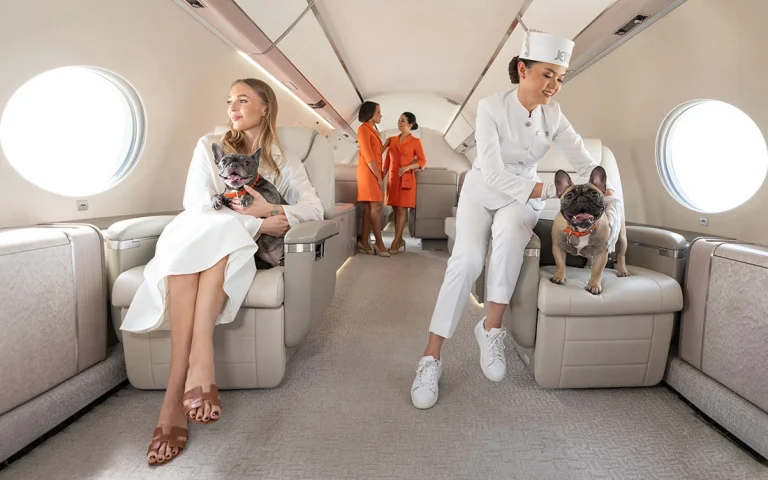 Private Jet Charter Dubai: Complete Guide to Luxury Air Travel in 2025
